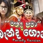Banda Gonaa (Manda Pama Parody Version)